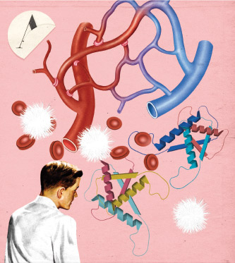 Illustration of von Willebrand Factor 