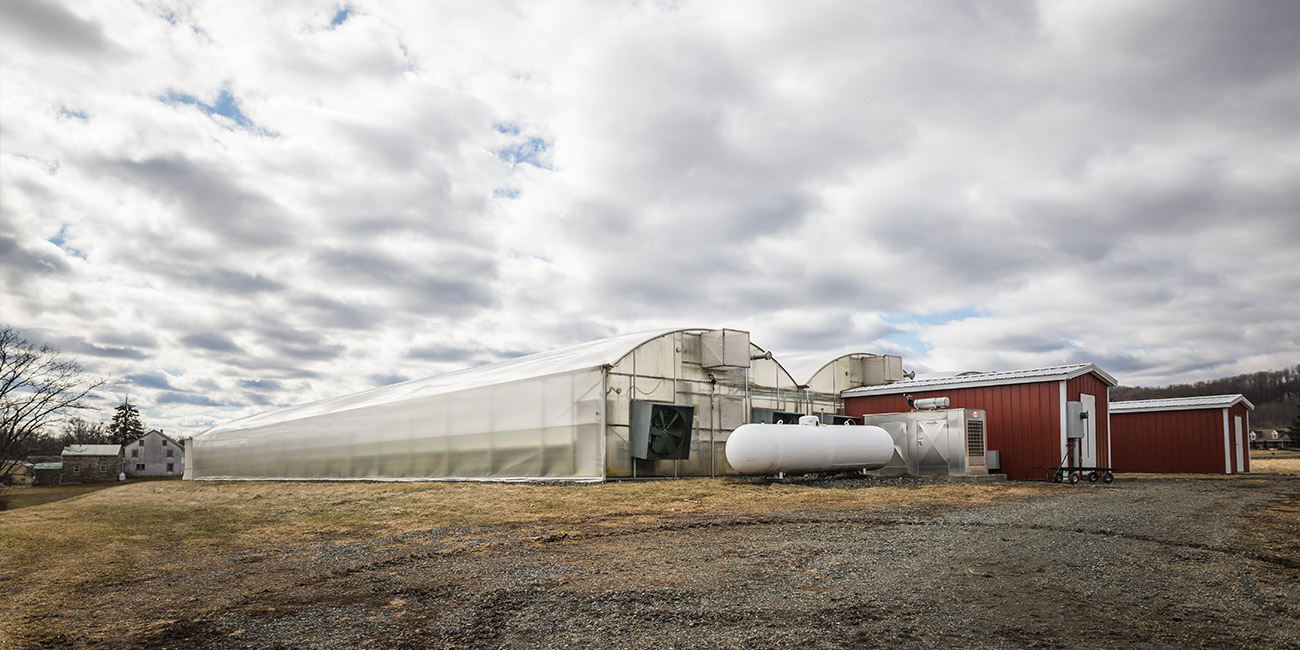 Exterior Butter Valley Greenhouse