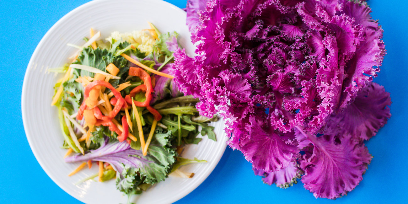 Salad and red cabbage