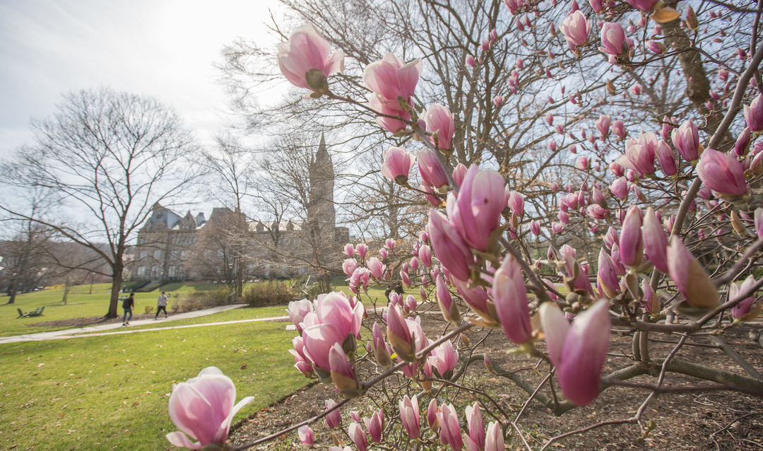 Lehigh in Spring