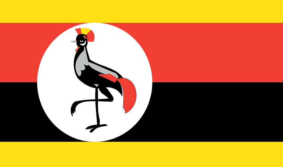 The flag of Ghana