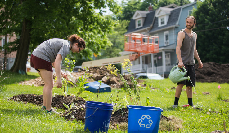 Lehigh students plant trees 