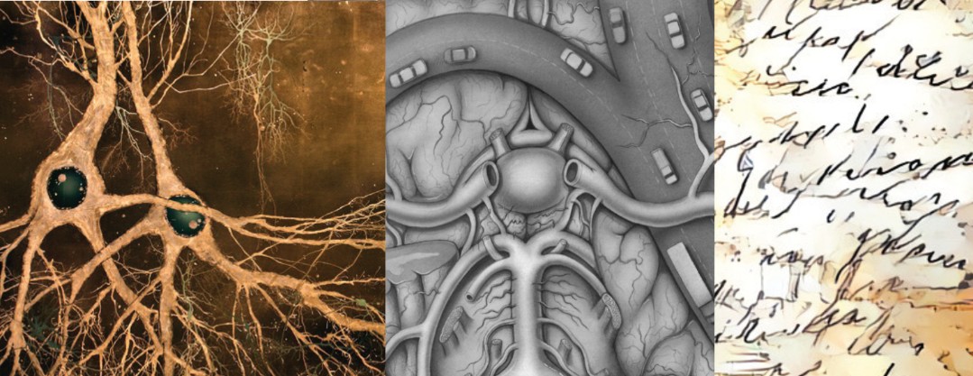 Images of cells, an aortic motorway, and handwriting