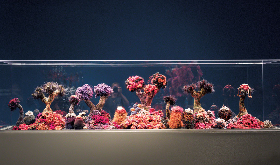 Crochet Coral Reef,