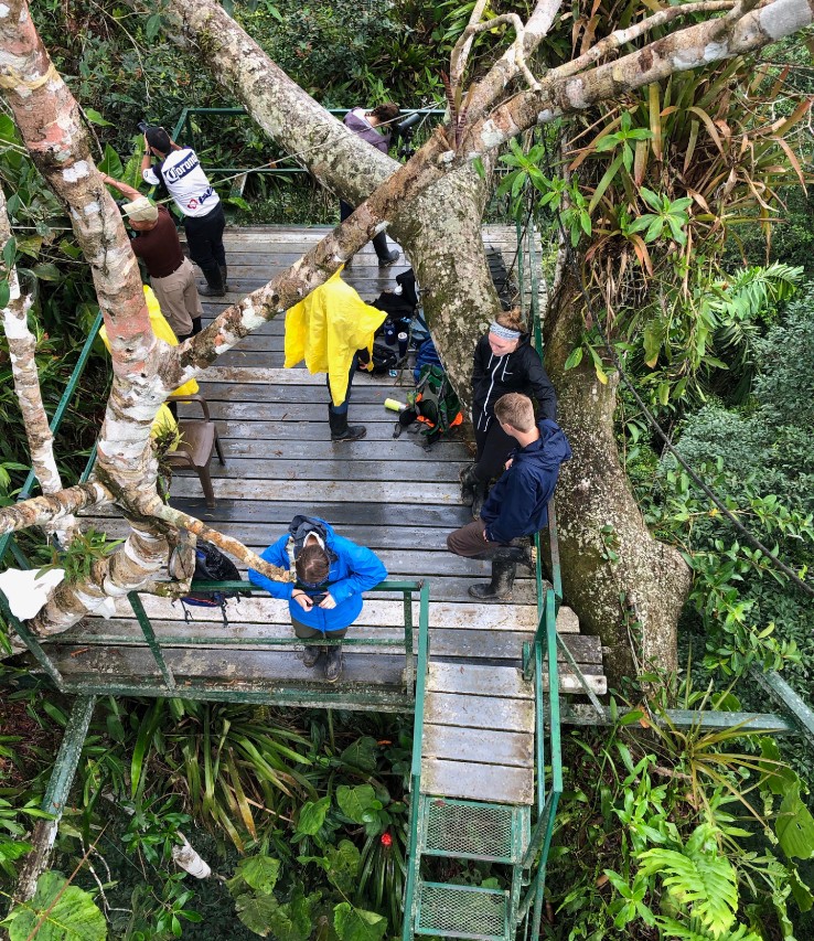 Students birdwatching in the Amazon rainforest