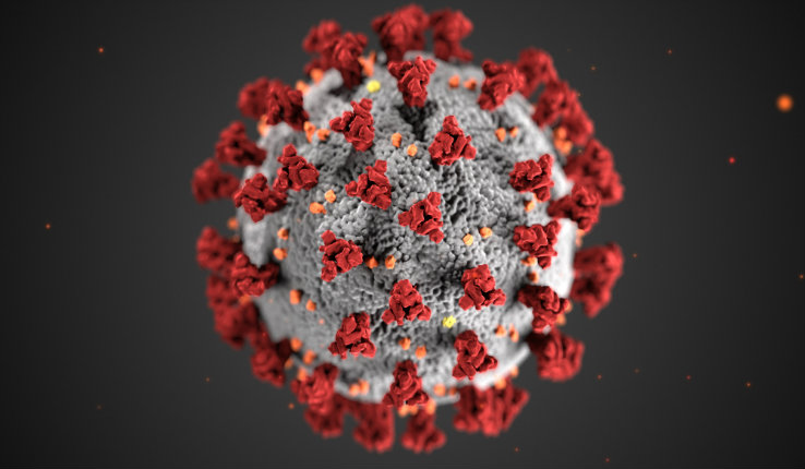 Illustration revealing ultrastructural morphology exhibited by coronaviruses