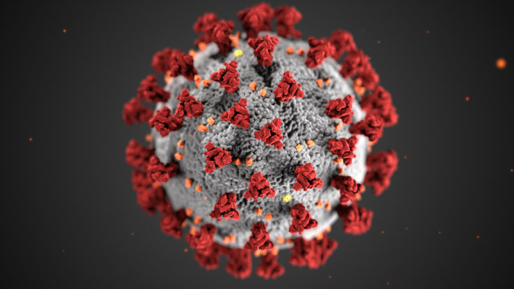 An illustration reveals ultrastructural morphology exhibited by coronaviruses