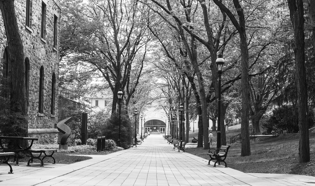 The Lehigh campus