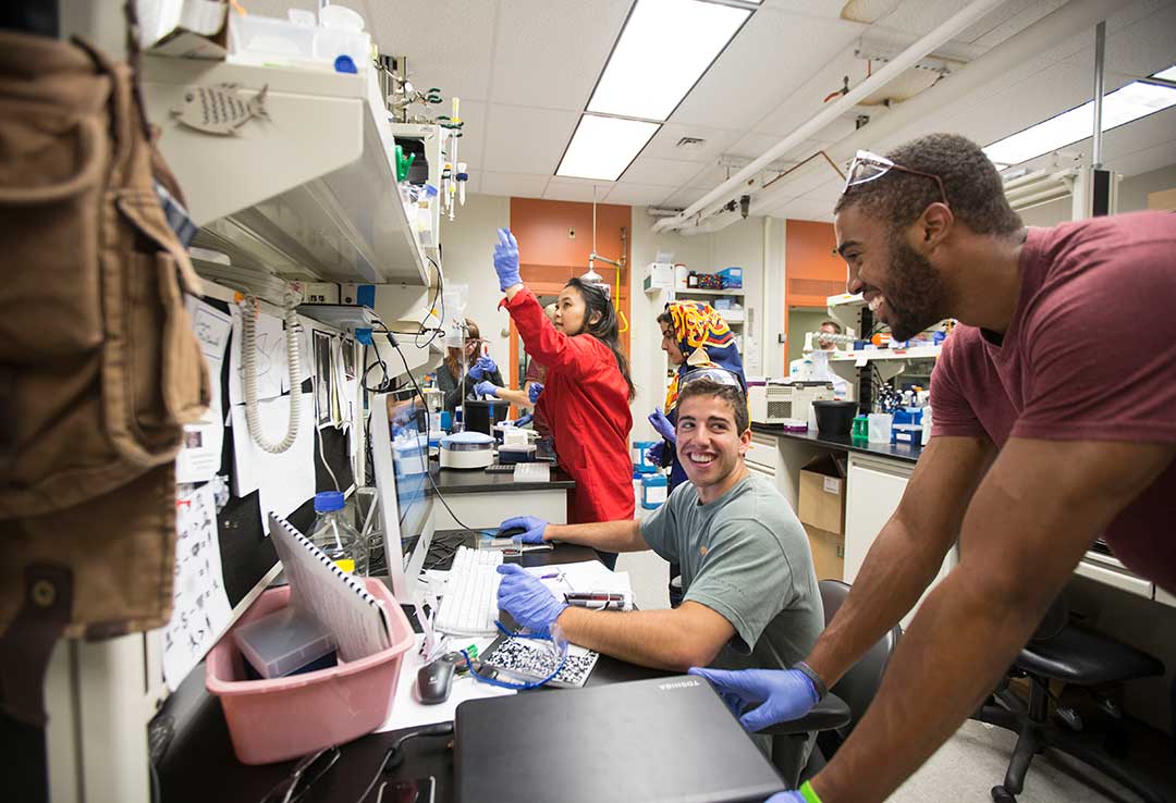 Students in a lab