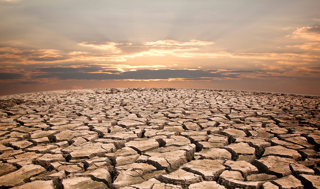 dry cracked earth