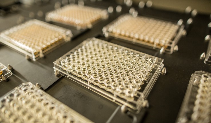 Evolution’s Game of Rock-Paper-Scissors | Lehigh University News
