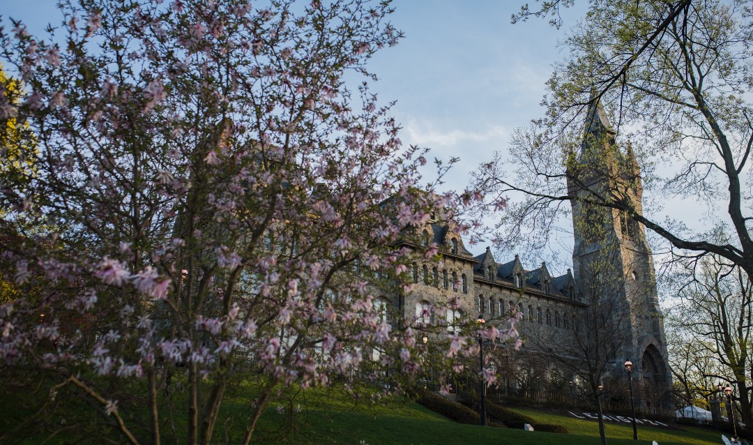 spring beauty on campus