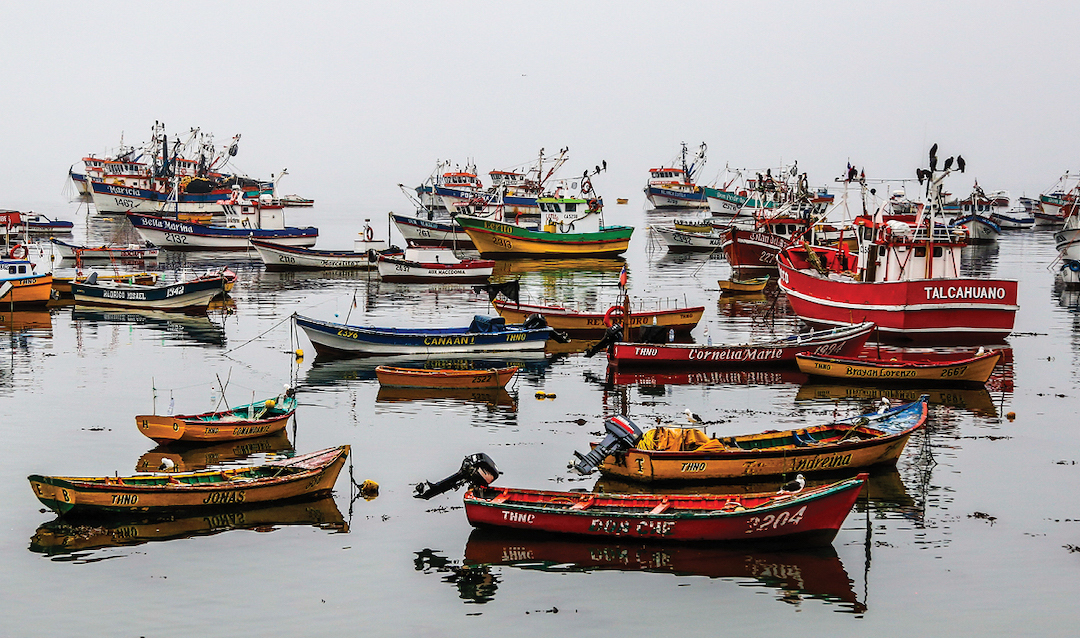 Multiple boats sitting in the water