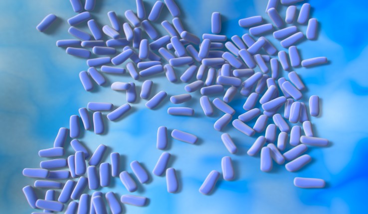 Schizosaccharomyces pombe yeast. 