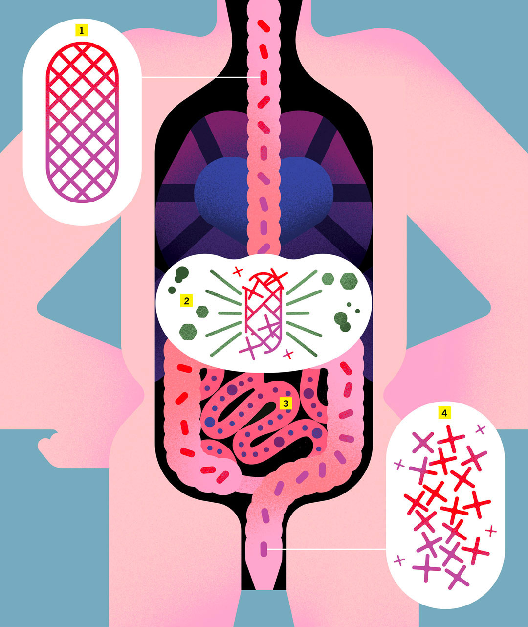 Oral Drug Schematic