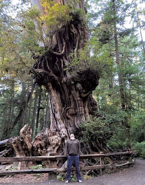 Olympic National Park