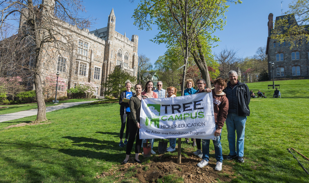 Students with newly planted tree