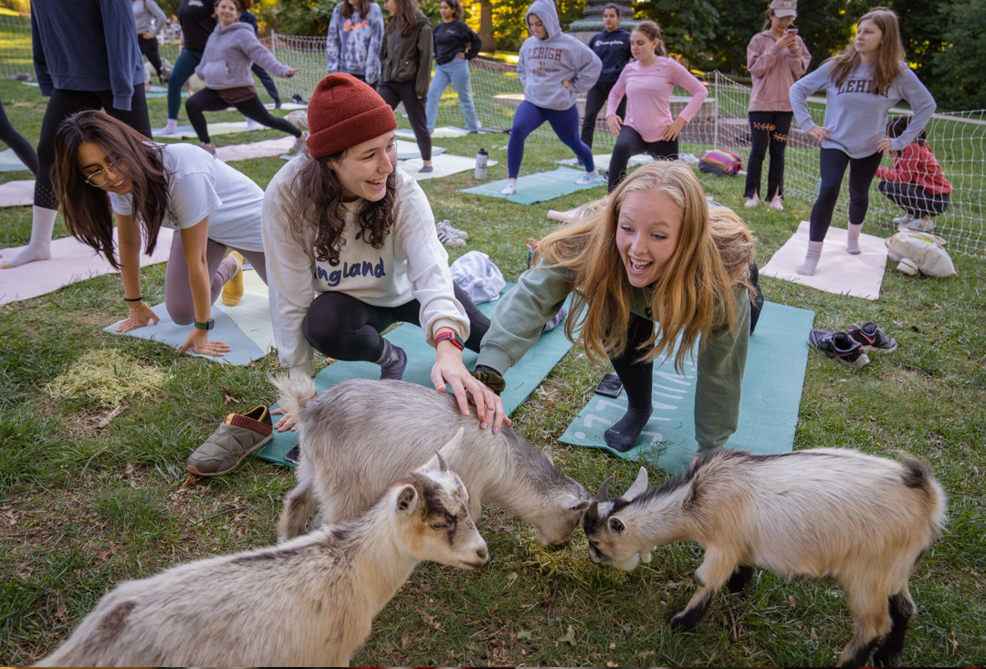 Goat Yoga