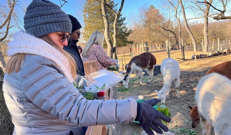 Volunteers are Gress Mountain Ranch