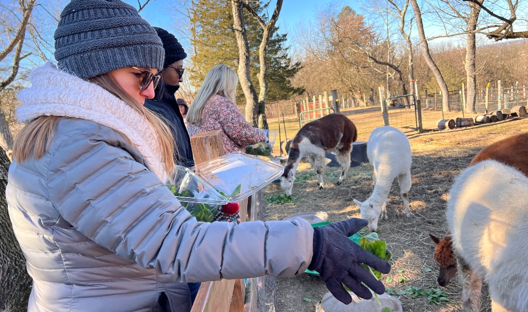 Volunteers at Gress Mountain Ranch