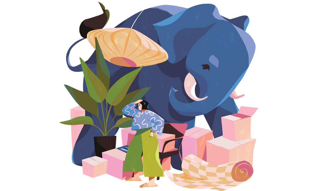 ask the expert elephant illustration