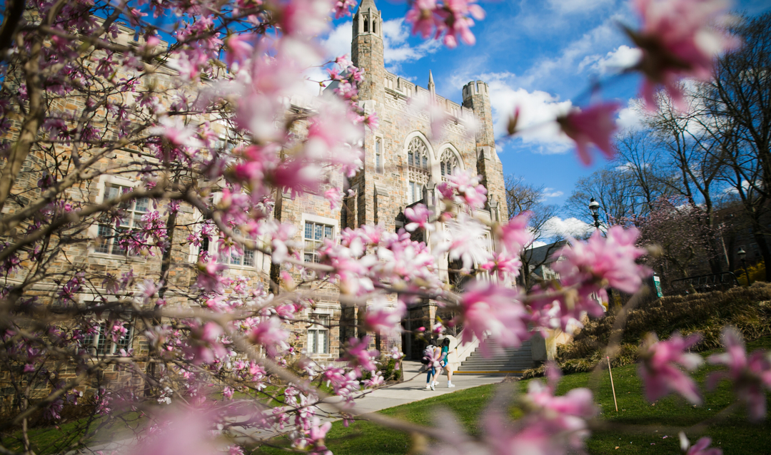 Flowers with Linderman Library in the background