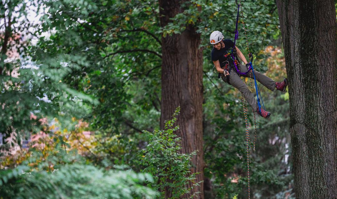 Students learn to safely climb trees