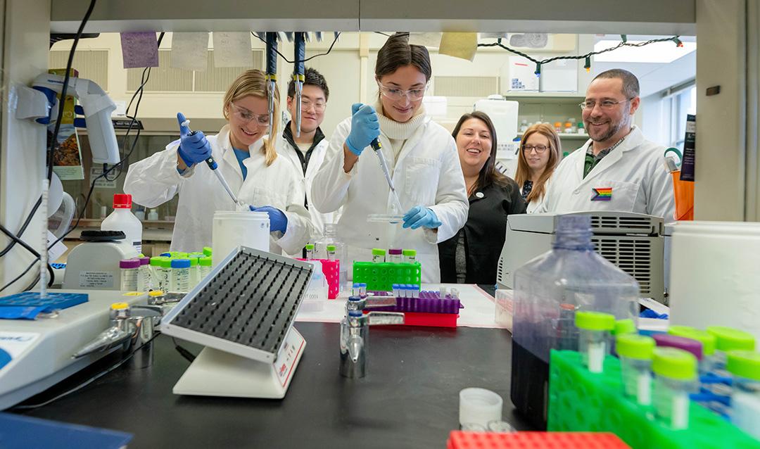 Researchers at work in the Layden Lab