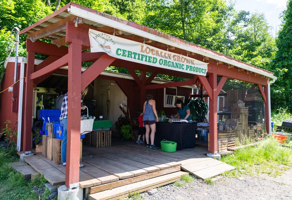 Farm stand at Salvaterra's Gardens