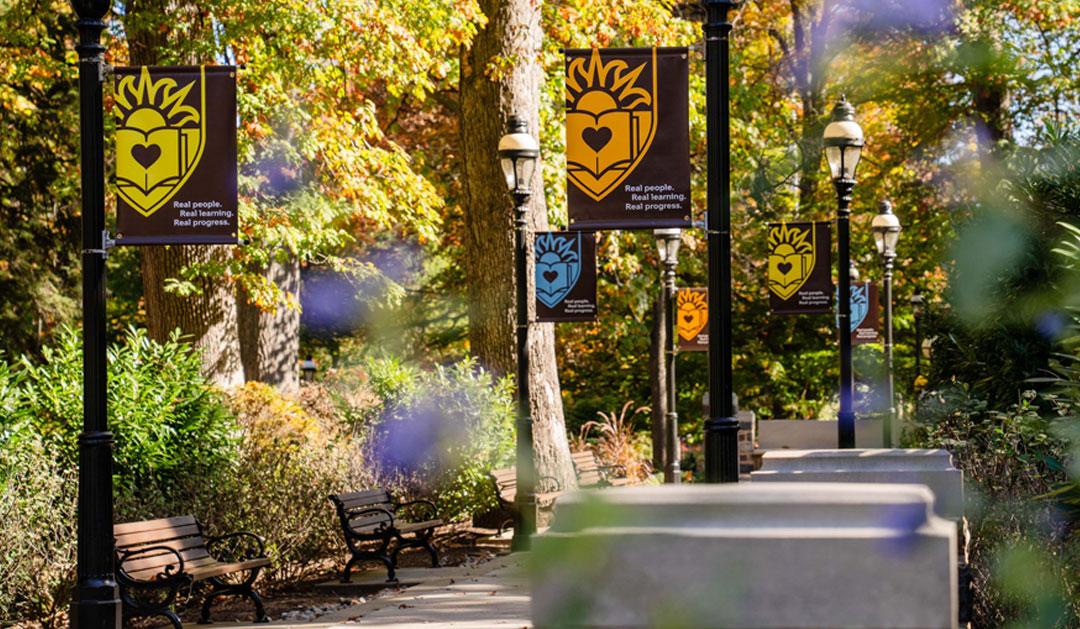 Autumn pathway lined with colorful Lehigh banners and trees, bright foliage in the background.