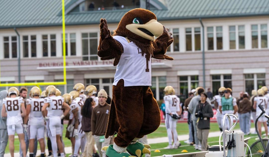 A brown bird mascot in a sports jersey dances on the sidelines at a football game.