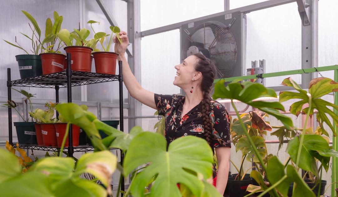 Michelle Spicer happily examines a plant in a greenhouse with many potted plants.