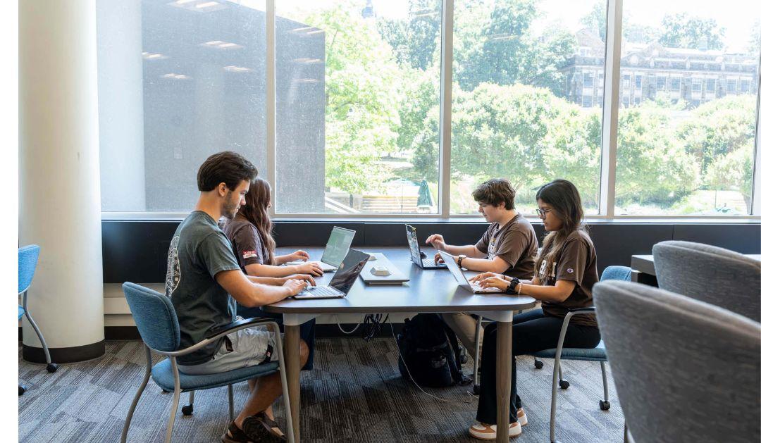 Four students use laptops at a table in a sunlit study area with large windows.