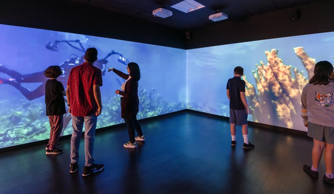 People standing in an immersive room with projected underwater scenes of divers and coral.