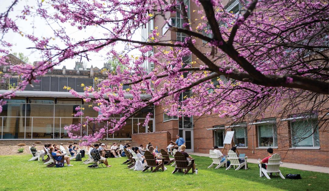 Students sitting on a sunny campus lawn framed by vibrant pink spring blossoms.