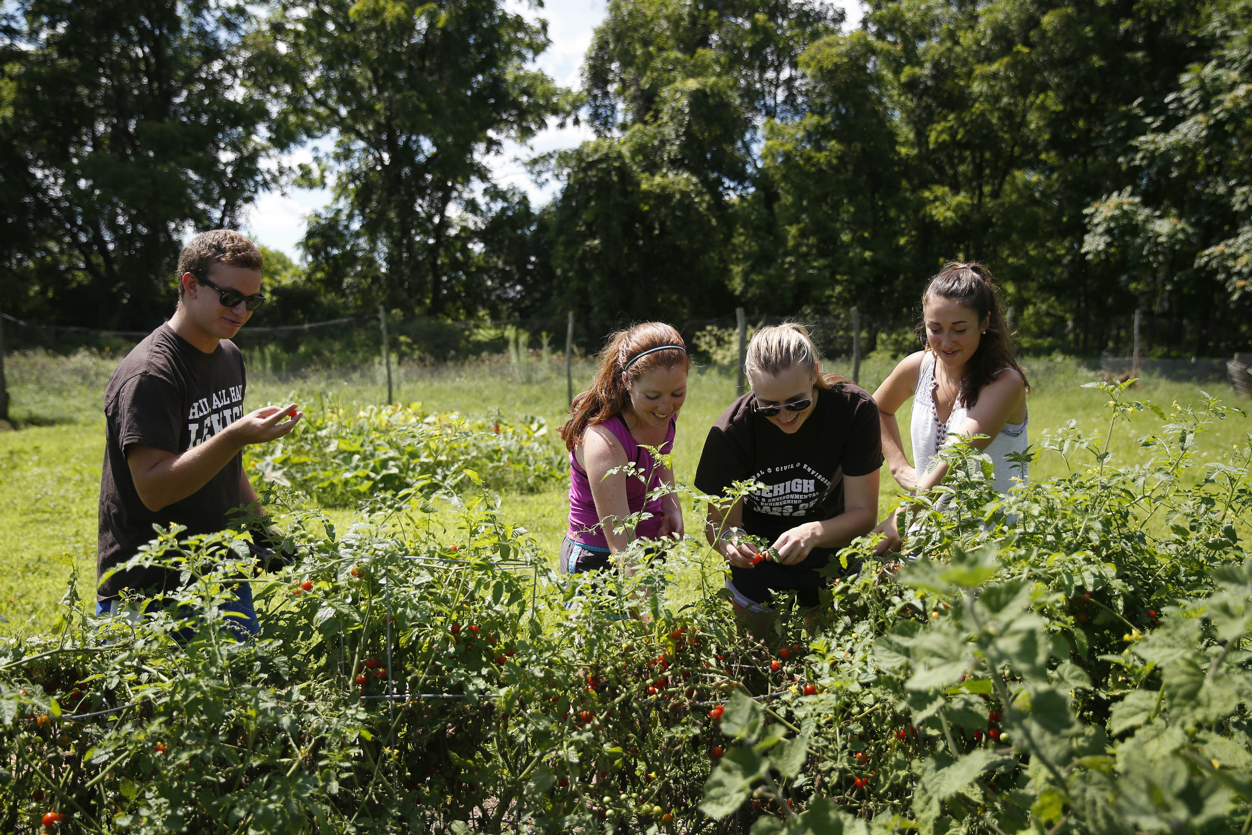 Mountaintop%202015%20sustainable%20farming%20006_1