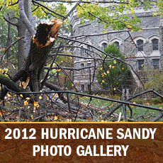 Sandy_PhotoGallery