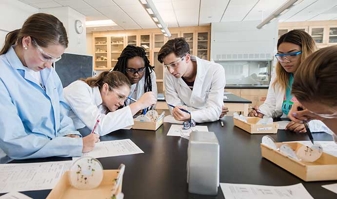 seedlings_biology_lehigh_university