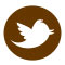 Twitter icon
