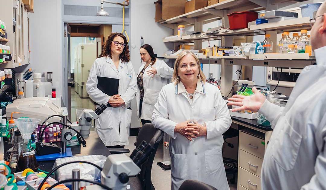 Congresswoman Susan Wild visits labs in Iacocca Hall at Lehigh.