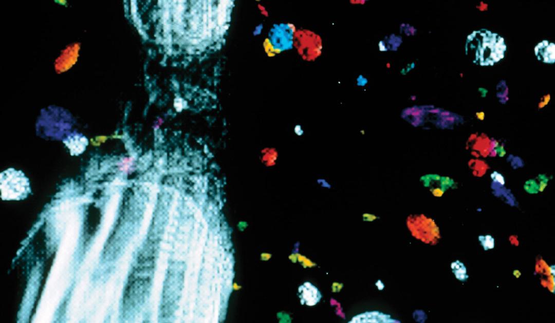 Visualization of the early universe, depicting particles in the quark-gluon "soup" which existed less than one millionth of a second after the Big Bang