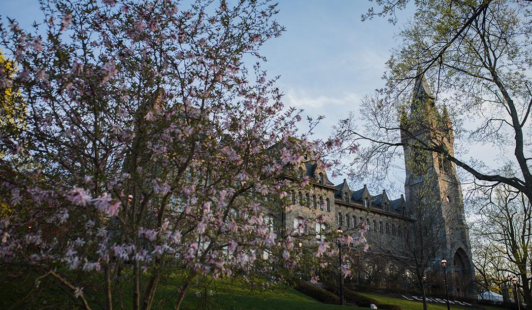 Spring flowers in front of Lehigh University's University Center