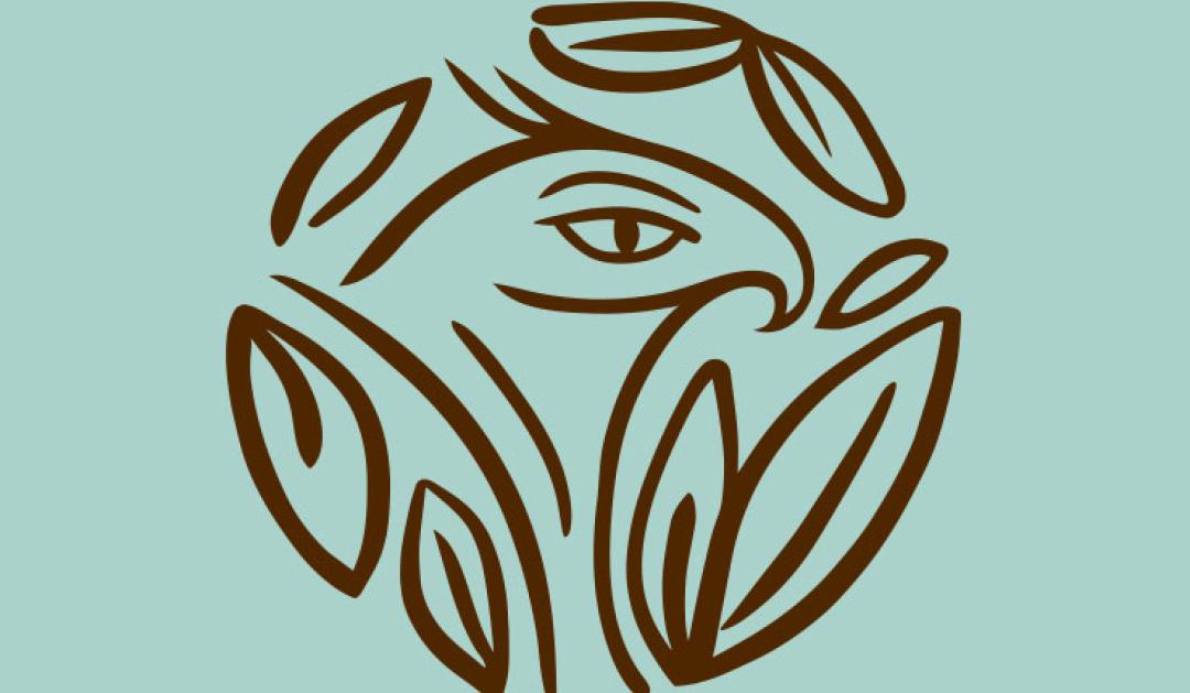 Soaring Together logo