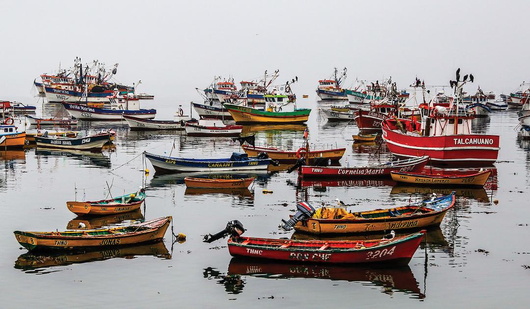 Multiple boats sitting in the water