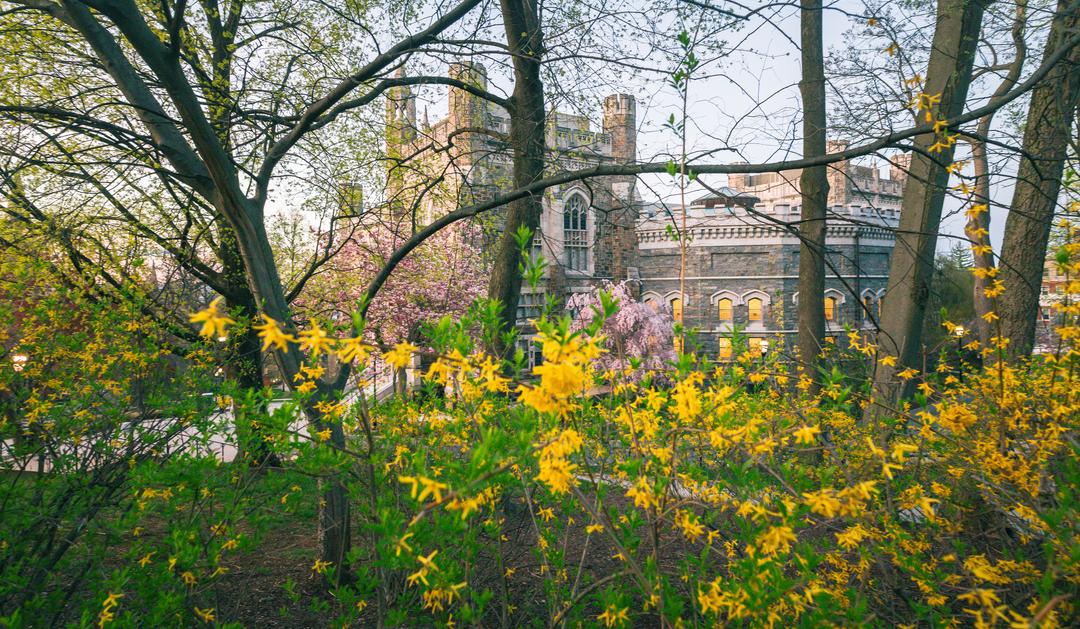 Lehigh campus in Spring