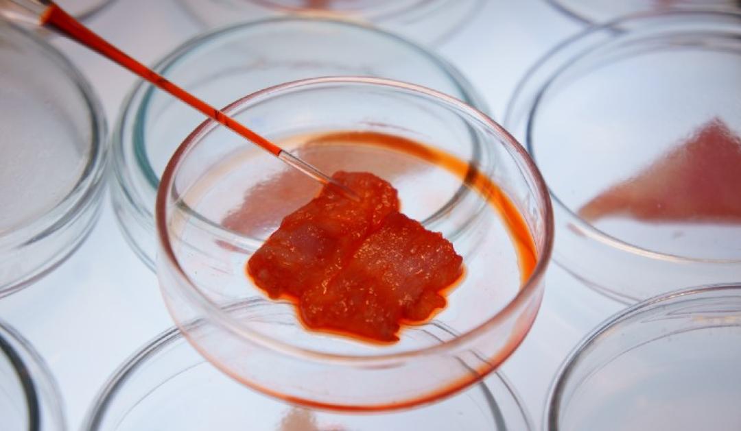 artificial meat in a lab