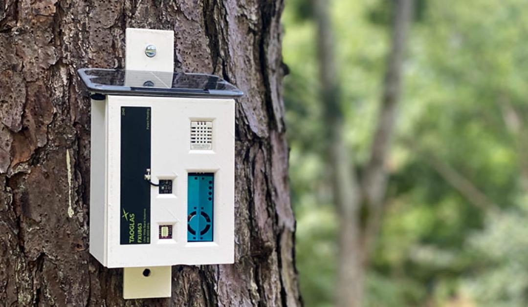 A prototype of InfernoGuard