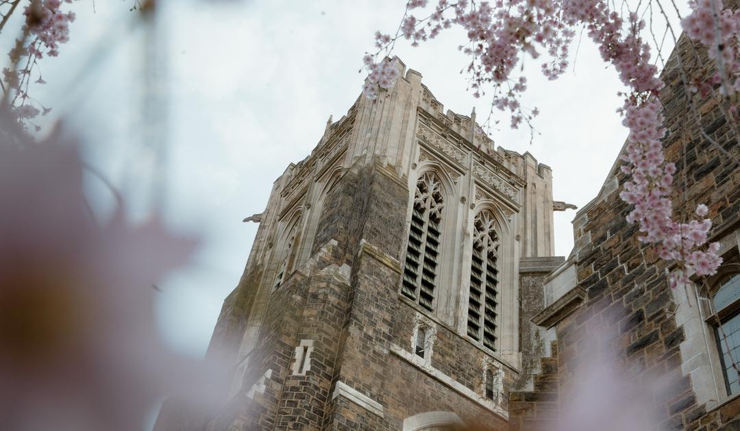 Historic stone tower with ornate windows, framed by pink cherry blossoms under a cloudy sky.