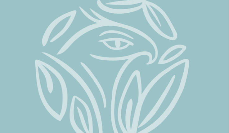 Logo for Soaring Together, Women of Lehigh