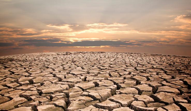 dry cracked earth